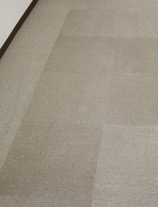 カーペットクリーニングの写真